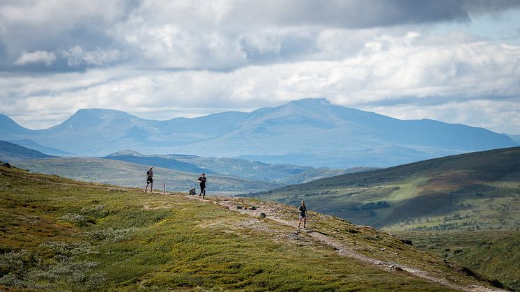 Kia Fjällmaraton_555