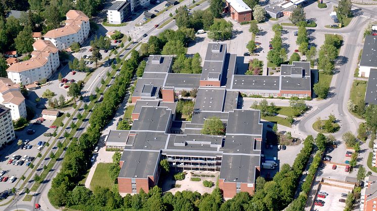 Handens sjukhus