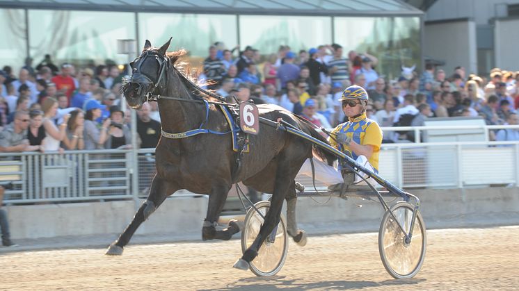 Piraten vann vägen till Elitloppet Benders