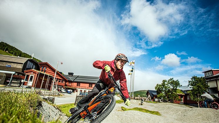 bike3