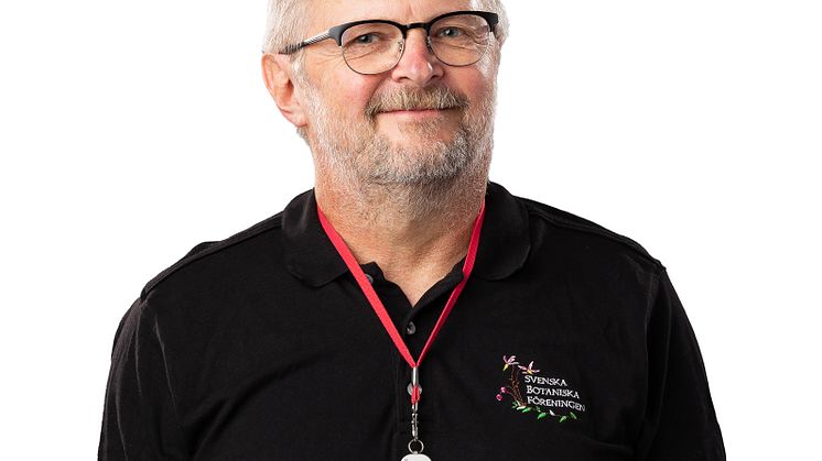 Mora Aronsson