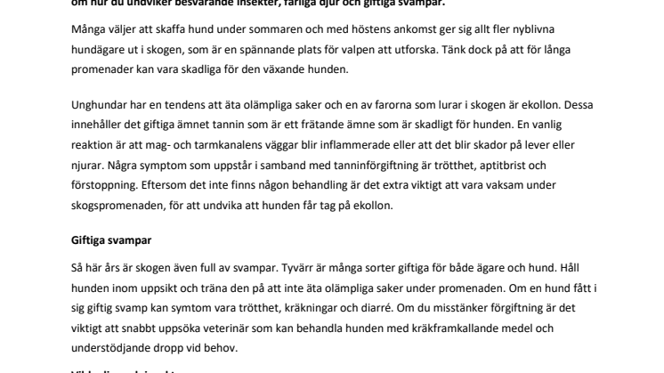 Så tryggar du skogspromenaden 