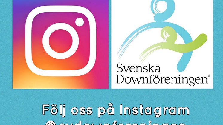 Följ oss på Instagram!