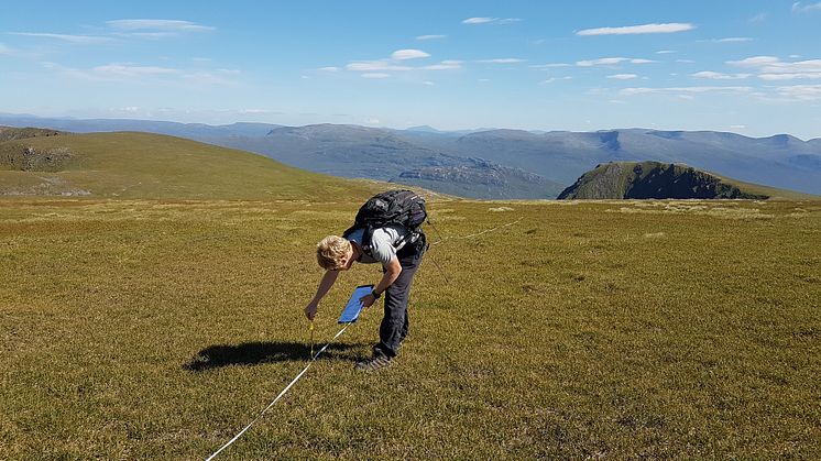 Study author Dr Andy Suggitt surveying habitat at Creag Meagaidh NNR, Scotland (Credit: NERC refugia project team).