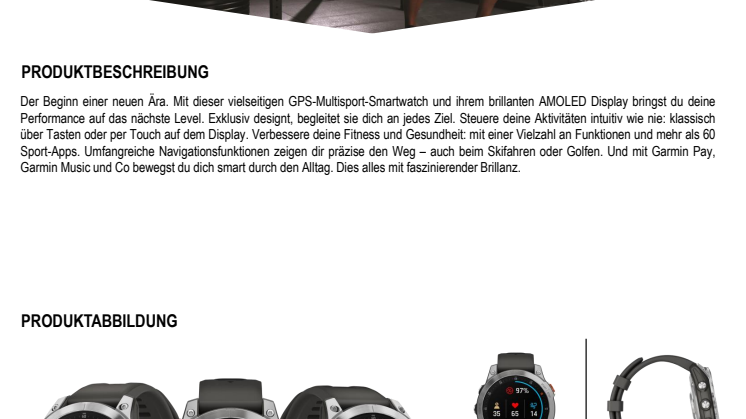 Garmin Datenblatt epix Serie CE