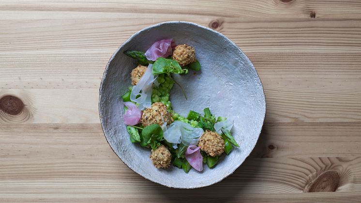 Hamppu tofu