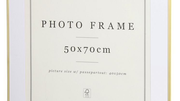 NYHET! Frame Tom 50x70 cm Gold 17,90  EUR.jpg