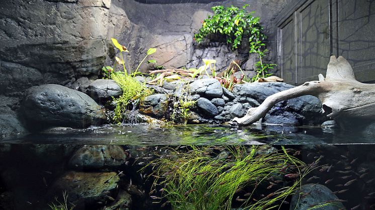 Aquarium Zoo Leipzig - Nordamerikanischer Flusslauf