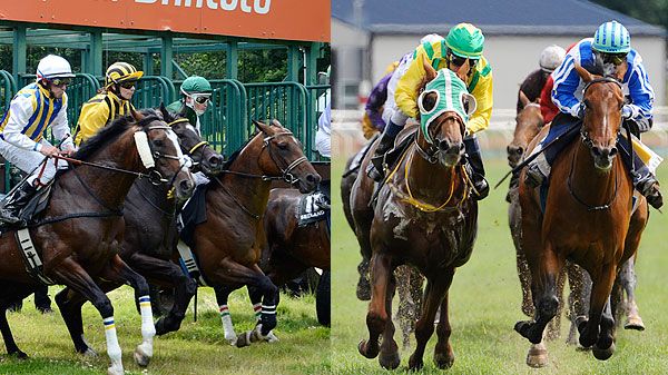 Saxade lopp från Danmark och Jackpot på V65 