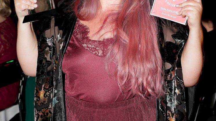 Sara Dahlström, Årets Nätängel 2017