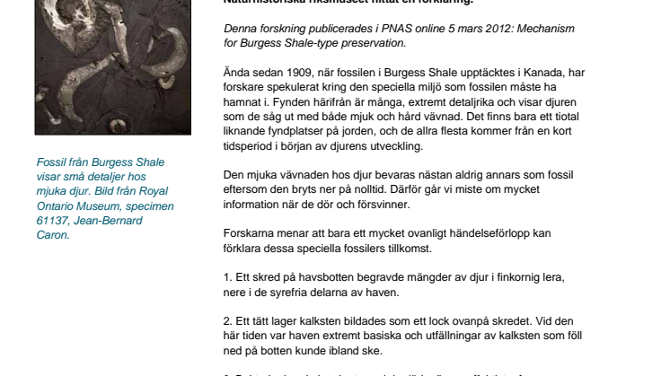 100-årigt fossilmysterium löst
