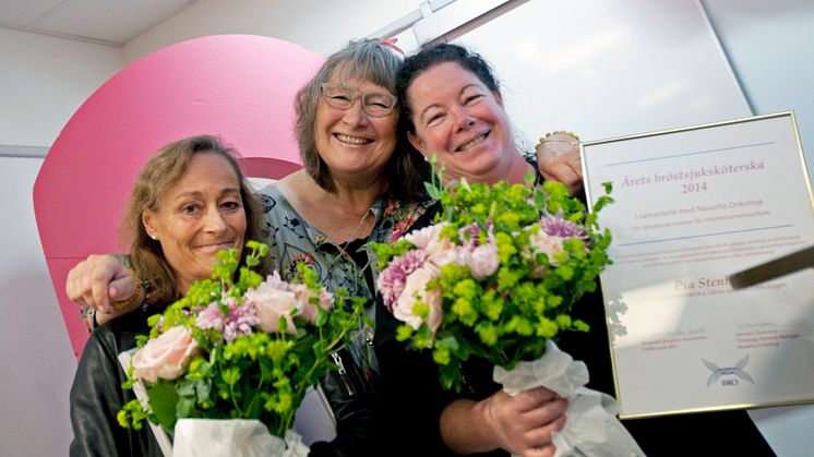 2014 års rosa hjältar