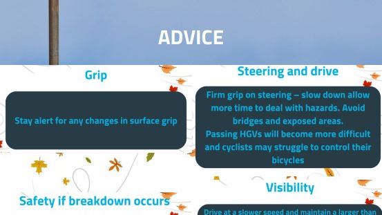 Wind amber - advice.jpg