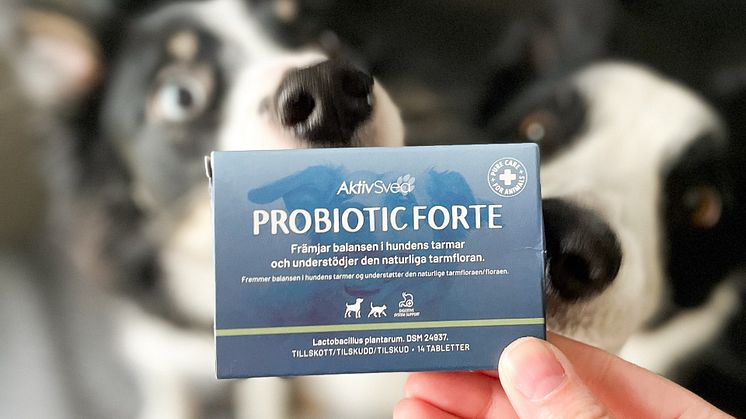 Aktivsvea Probiotica Forte fotograf: Jenny Carlsson