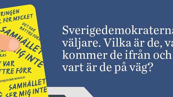 Ny rapport om vad som förenar Sverigedemokraternas väljare
