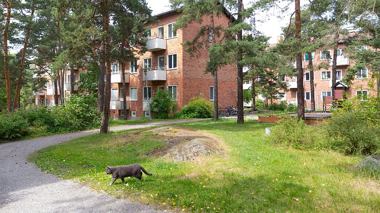 Kvarteret Markpundet i Bromma hör till de 42 tomträtterna. Foto: Karin Alfredsson