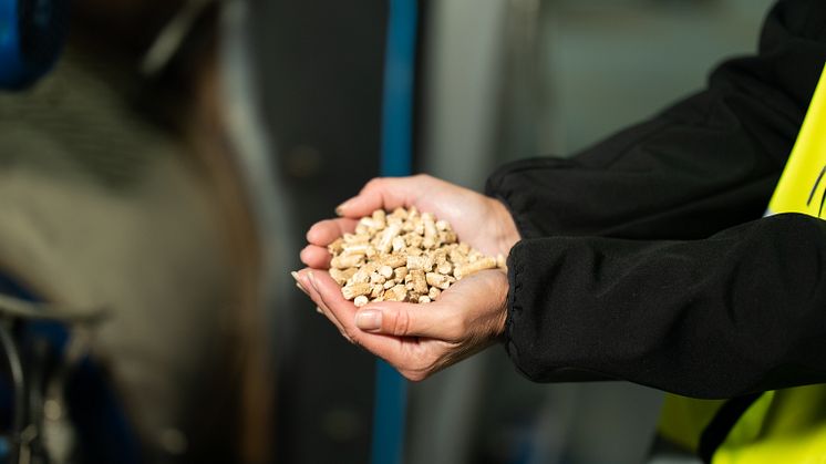 Träpellets