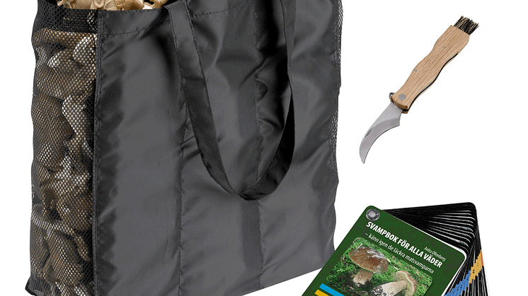 Svampset med bok kniv och väska
