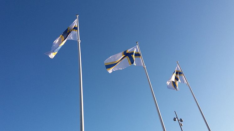 Sverigefinnarnas dag kommer med ett glädjande besked