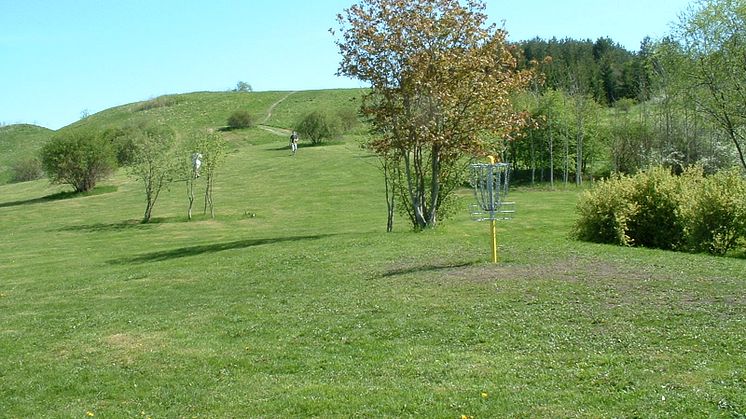 JDGP 30 år 2025_bild från 2001
