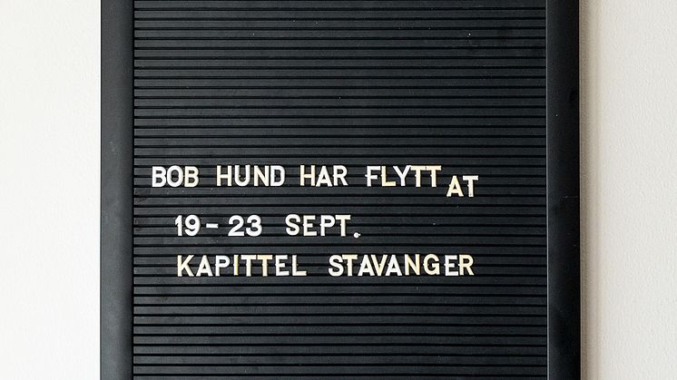 Bob Hund Kapitel Stavanger