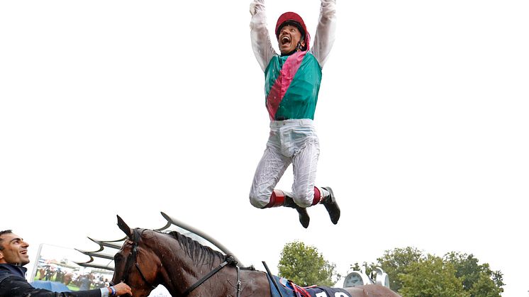 Enable 1