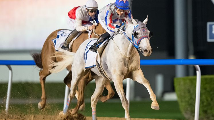 Plata O Plomo (S Berneklint-C lopez) vinner på Meydan 2020-01-30