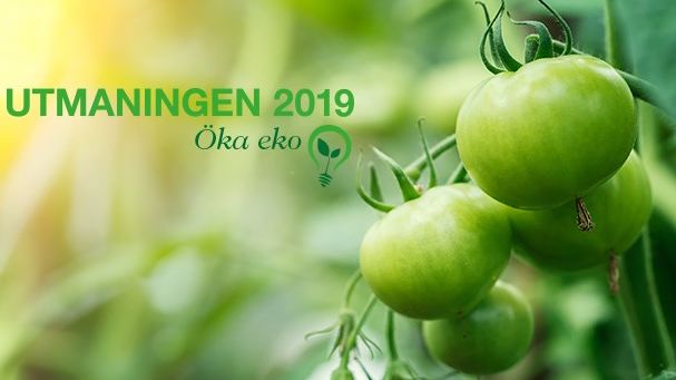 Martin & Servera utmanar branschen i hållbarhet. Utmaningen 2019 handlar om att Öka Eko!