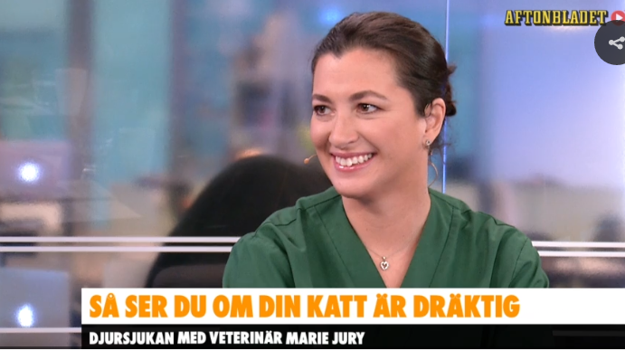 Marie Jury från Väsby Djursjukhus besöker Aftonbladets morgon TV 