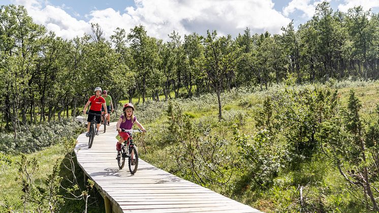 Familjevänling cykling med vyer och flyt i Ramundbergets cykelpark. 