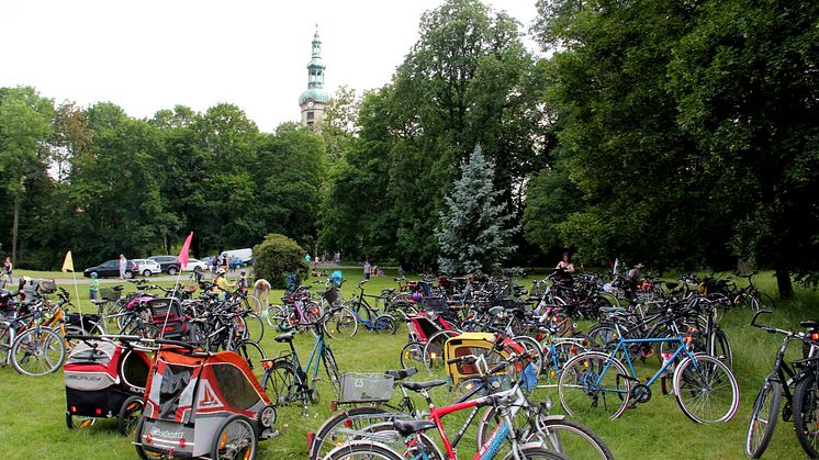 Halbjahresrückblick in Bildern: ehrenamtliche Aktionen und Einsätze am Bärenherz-Informationsstand