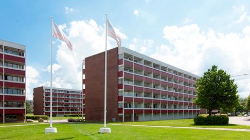 Rikshem och Helsingborgs stad samarbetar för att arbetslösa fredriksdalsbor ska få jobb. 