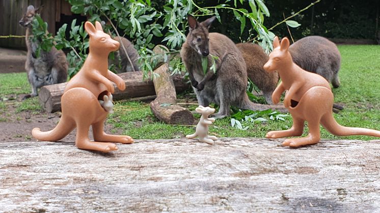 Tierischer Spaß im Sommer: PLAYMOBIL und der Tierpark Nordhorn laden zum großen Zoo-Quiz ein