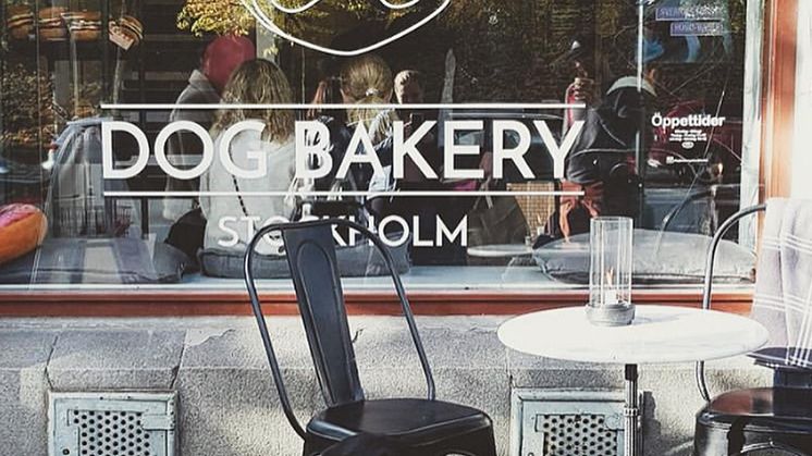 Dog Bakery 