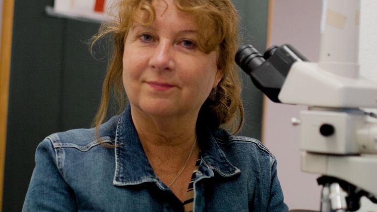 Forskare Vivi Vajda