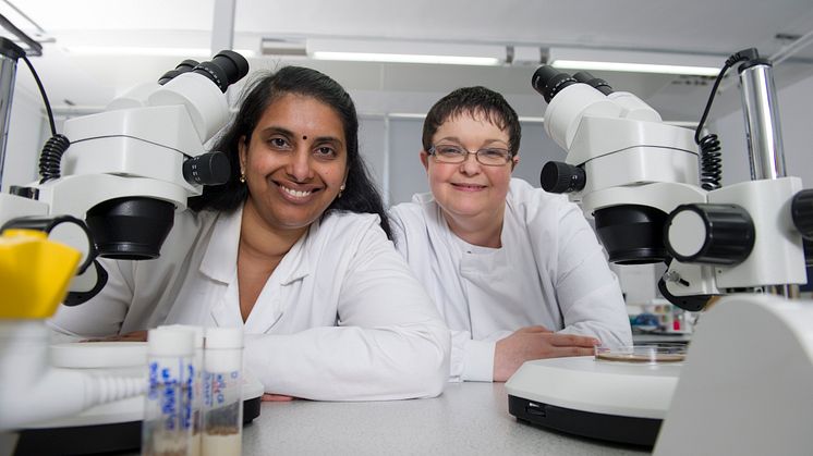 Dr Tora Smulders-Srinivasan and Dr Amanda Jones