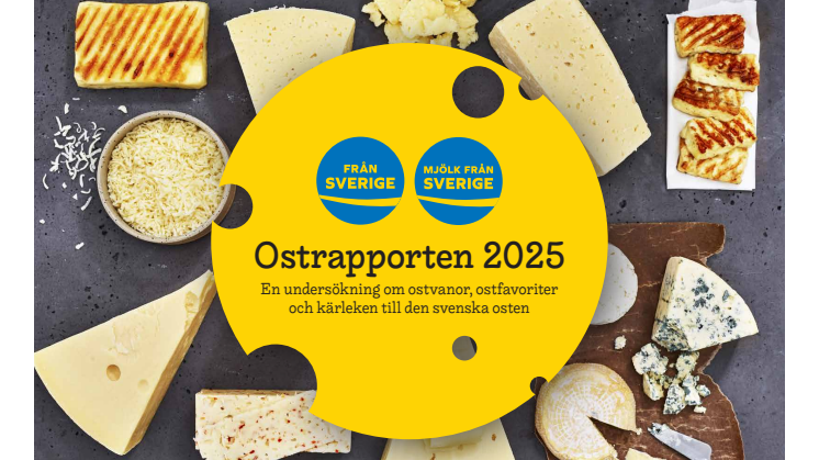 Ostrapporten_2025_webb.pdf