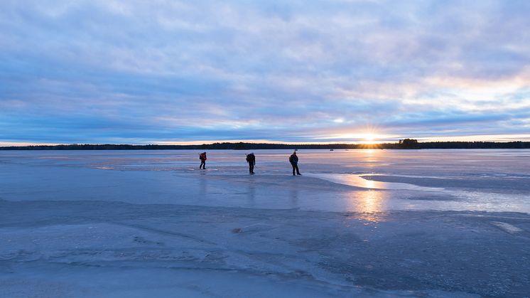 Foto: Conny Sjöström