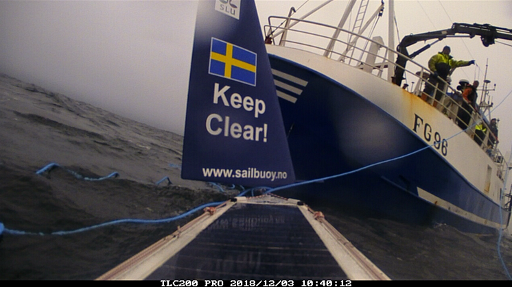 SLU Aqua Sailor sjösätts