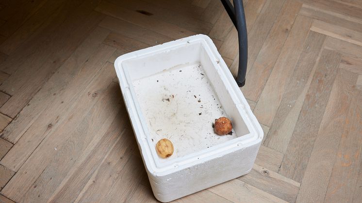 Theodor Nymark, Untitled, 2020