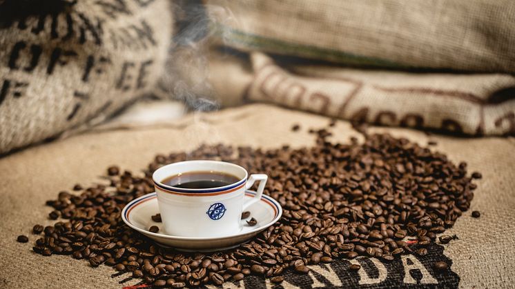 „Ein Kaffee, der Schule macht“ - ein Projekt für Bildung und fairen Handel in Ruanda