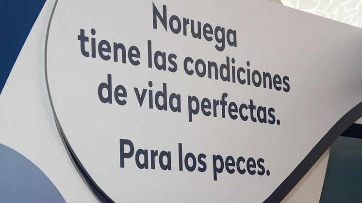 Seafood from Norway muestra el potencial de los pescados y mariscos de Noruega para los profesionales de la gastronomía