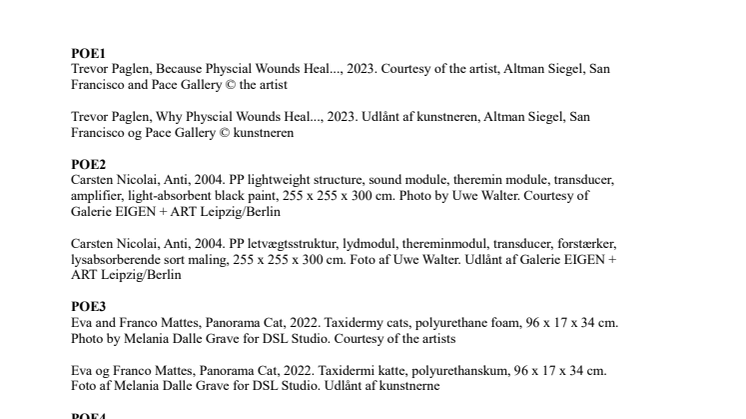 Poetics of Encryption — credits to press images