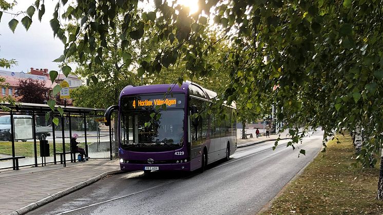 buss_1200x630