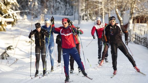 Över 30 elitidrottsstudenter tävlar under SM-veckan 