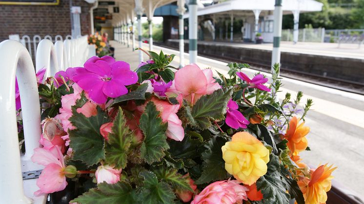 Planting at Arundel station.jpg