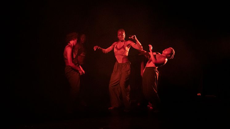 Company Nicolas Huchard - The barefoot diva