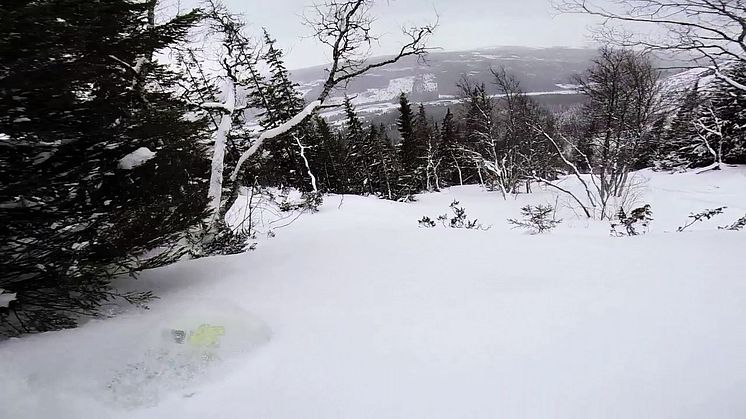 Pow pow in Åre/Tegefjäll 18 mars