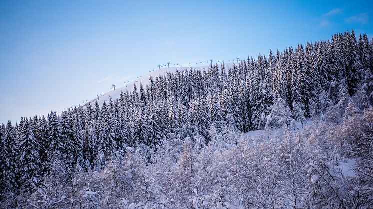 MYRKDALEN_RESORT_WINTER_SVERREHJORNEVIK-7019