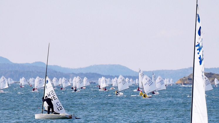 Liros Nordic Race 